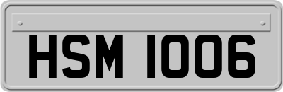 HSM1006