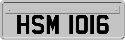 HSM1016
