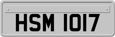 HSM1017