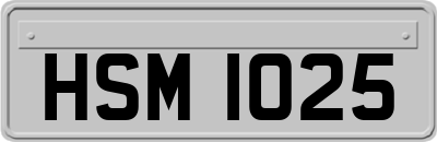 HSM1025