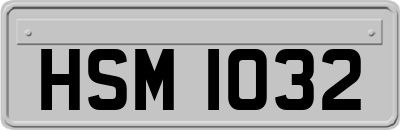 HSM1032