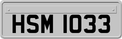 HSM1033