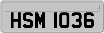 HSM1036