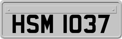 HSM1037
