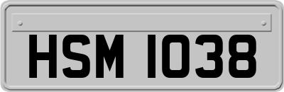 HSM1038