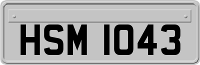 HSM1043