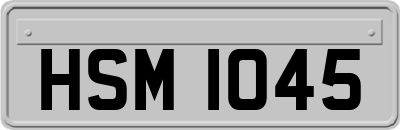 HSM1045