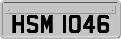 HSM1046