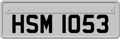 HSM1053