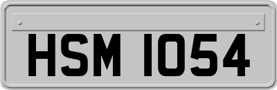 HSM1054