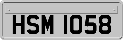 HSM1058