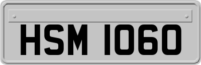 HSM1060
