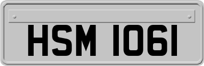 HSM1061