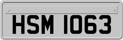 HSM1063