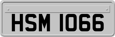 HSM1066