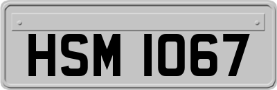 HSM1067