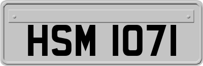 HSM1071