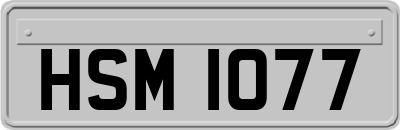 HSM1077