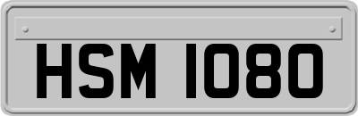 HSM1080