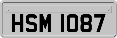 HSM1087