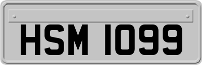 HSM1099
