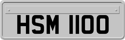 HSM1100
