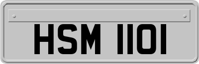 HSM1101