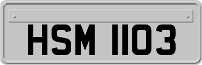 HSM1103