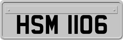 HSM1106