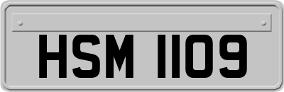 HSM1109