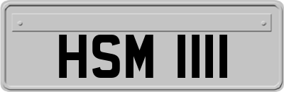 HSM1111