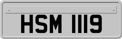 HSM1119