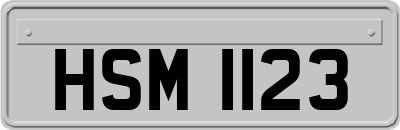 HSM1123