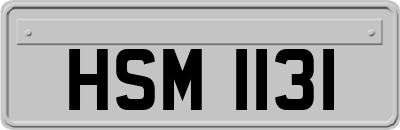 HSM1131