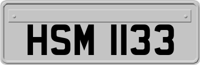 HSM1133