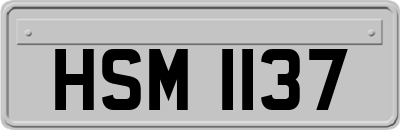 HSM1137