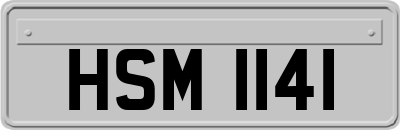 HSM1141