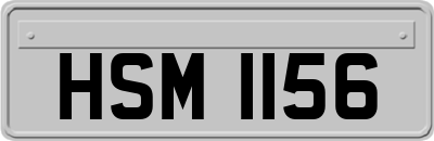 HSM1156