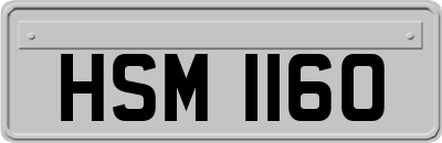 HSM1160