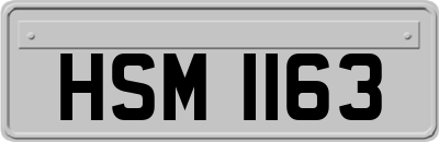 HSM1163