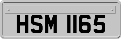 HSM1165