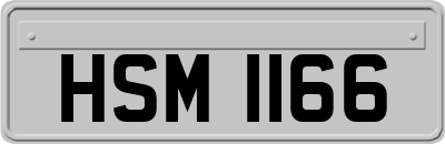 HSM1166