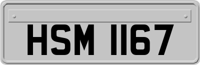 HSM1167