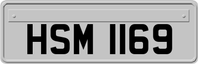 HSM1169