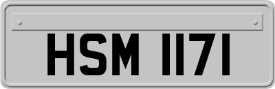 HSM1171