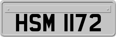 HSM1172