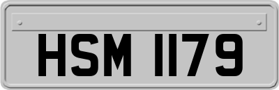 HSM1179