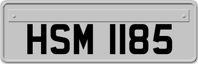 HSM1185