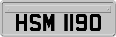HSM1190
