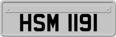 HSM1191